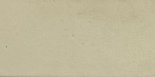 Moonlight White Leather