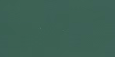 Olive Green Leather
