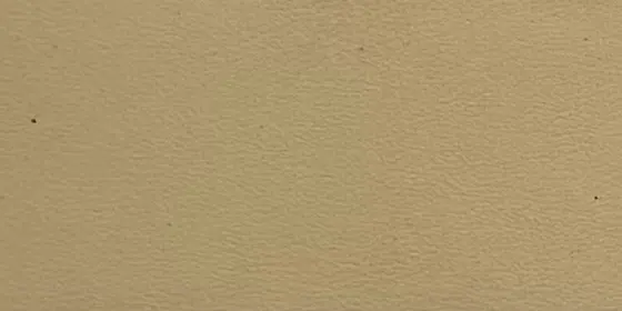 Light Beige Leather