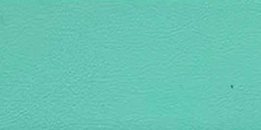 Tiffany Blue Leather