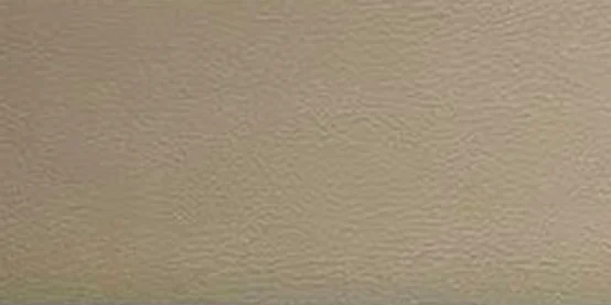 Domineering Rice Leather