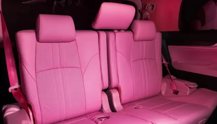 1-5Toyota Alphard pink luxury cabin modification with customized rear passenger seats